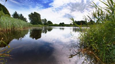 Участок в деревне Тимонино недалеко от водоёма Продажа недвижимости Участок с пропиской по адресу: Московская область, Волоколамский гор.округ, д. Тимонино, ул. Старо-Тимонинская, д. 8. 