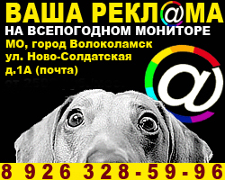 Реклама на всепогодном экране в Волоколамске